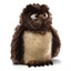 Picture of "Zooter" the Owl