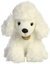 Picture of Poodle Puppy