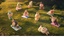 Picture of The Monsters "Lazy Yoga" Mini Blind Box - SOLD SEPARATELY - Read Description