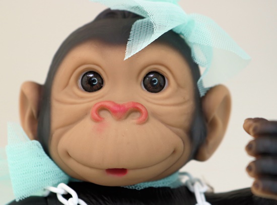 Picture of Baby Monkey-Blue Skirt