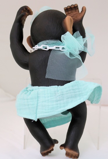 Picture of Baby Monkey-Blue Skirt