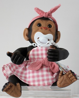 Picture of Baby Monkey-Pink Gingham Outfit