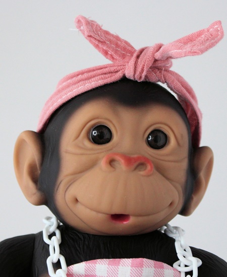 Picture of Baby Monkey-Pink Gingham Outfit