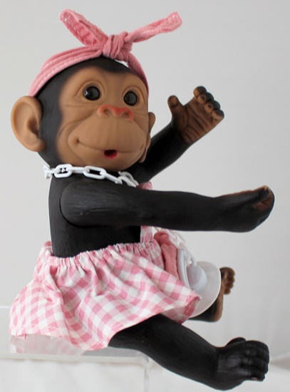 Picture of Baby Monkey-Pink Gingham Outfit