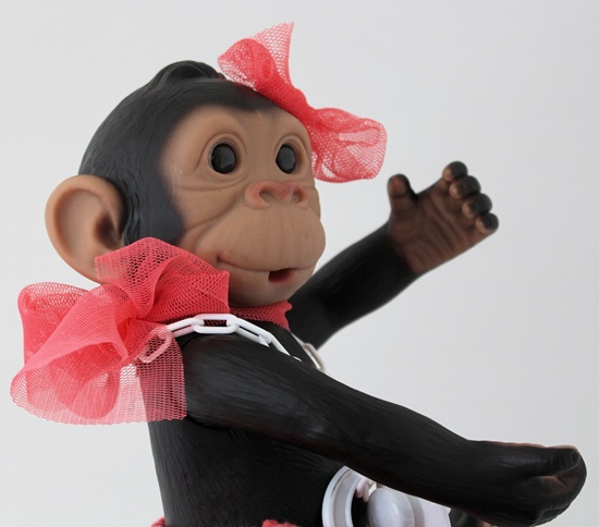 Picture of Baby Monkey-Pink Skirt