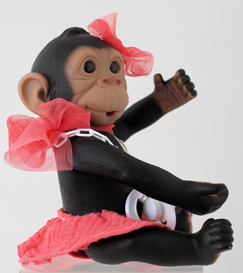 Picture of Baby Monkey-Pink Skirt