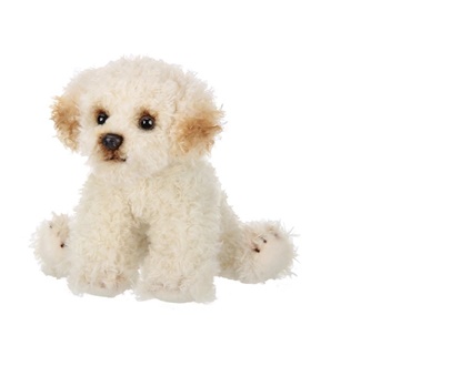 Picture of Lil Bisquit the Labradoodle