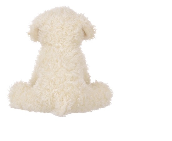 Picture of Lil Bisquit the Labradoodle