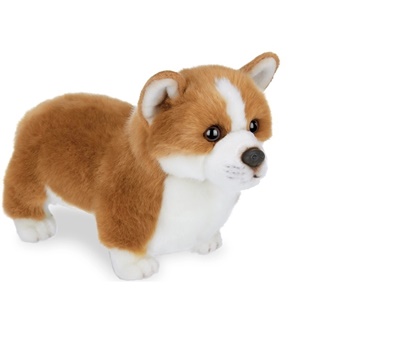 Picture of Queenie the Corgi