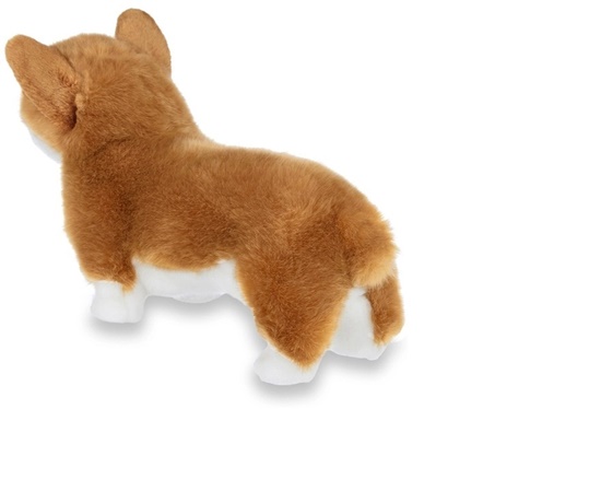 Picture of Queenie the Corgi